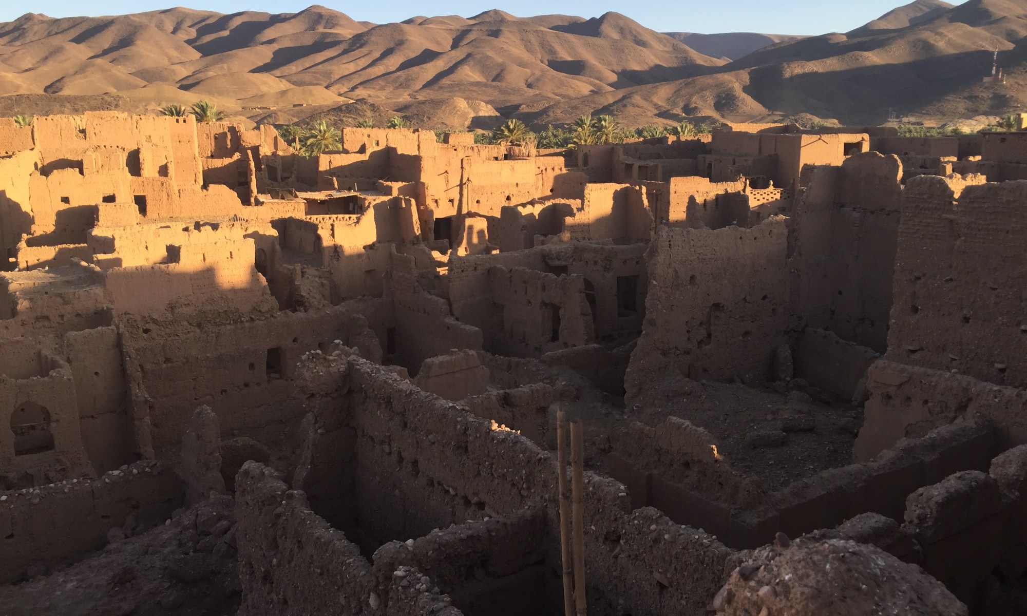 Creative Den Foundation, Tamnougalte