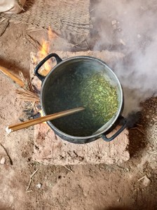 Boiling Hot Henna Leaves